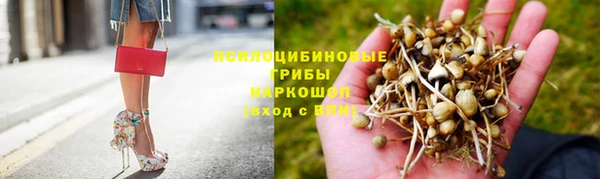 ALPHA PVP Медногорск